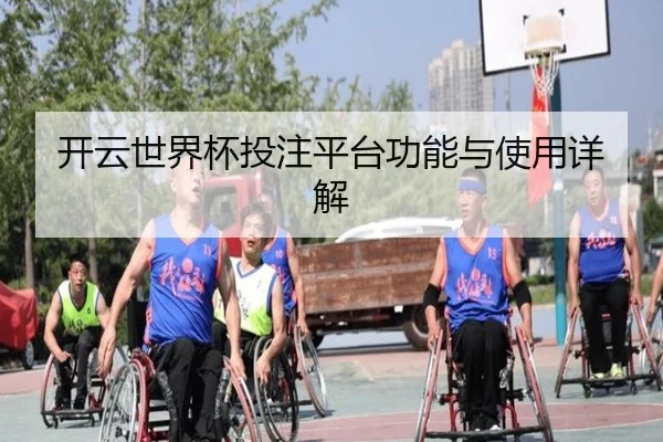 开云世界杯投注平台功能与使用详解