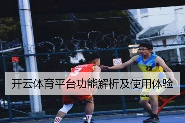 开云体育平台功能解析及使用体验